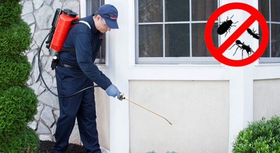 Samsun Böcek İlaçlama böcek ilaçlama ve haşere kontrolü — ilaclama-tr.com